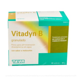 VITADYN B GRANULADO 40...